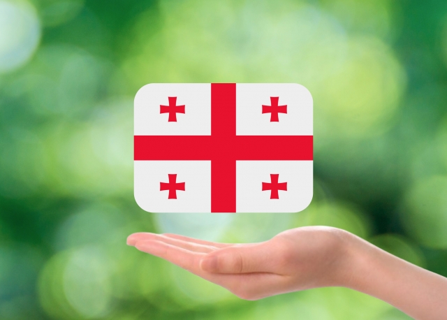 ジョージアでのお手続きの質問